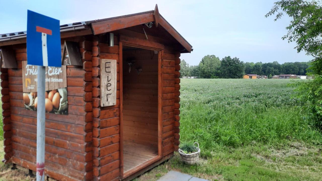 Seestern - Ferienhaus Am Quendorfer See Шютторф Экстерьер фото
